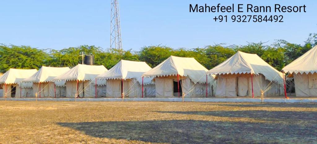 BherandiālaMahefeel e Rann Resort的田野上的一排白色帐篷