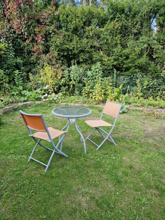 柏林Ferienwohnung im Grünen的草地上的两把椅子和一张桌子