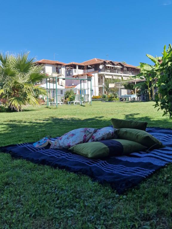 帕拉利亚潘塔利莫诺斯Villa Dimitris的草上带枕头的毯子