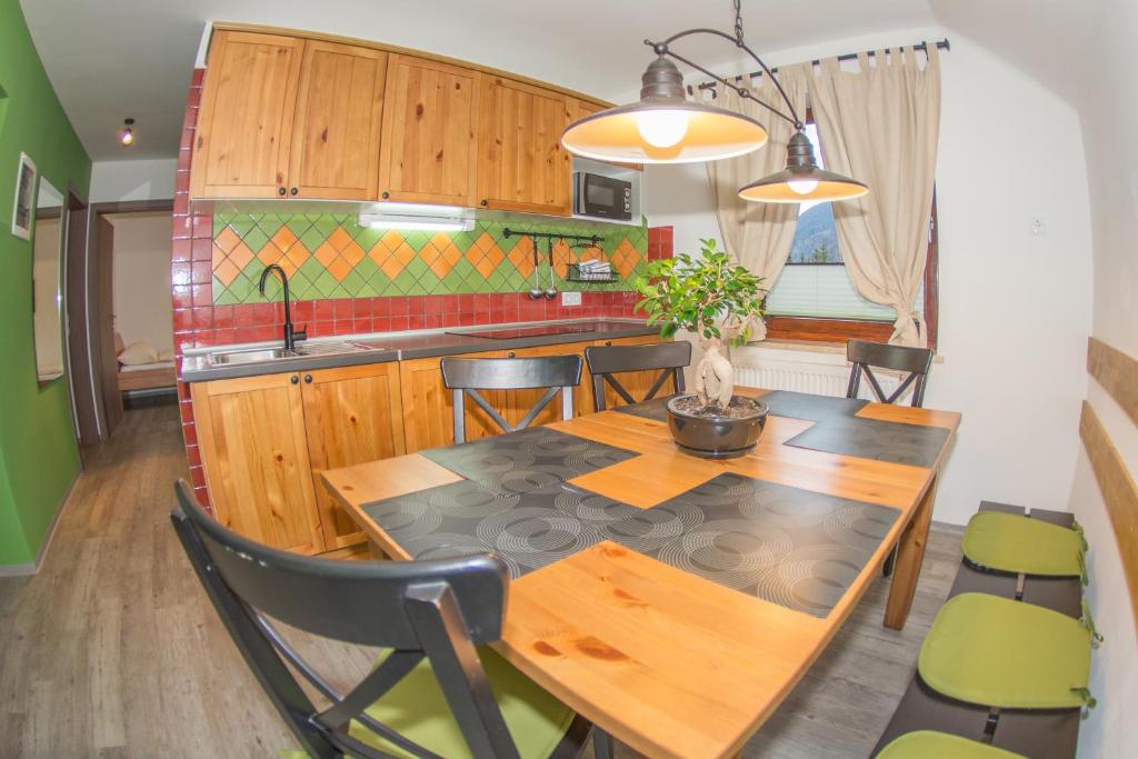 克拉尼斯卡戈拉Apartments Helena Kranjska Gora的厨房配有木桌和绿色椅子