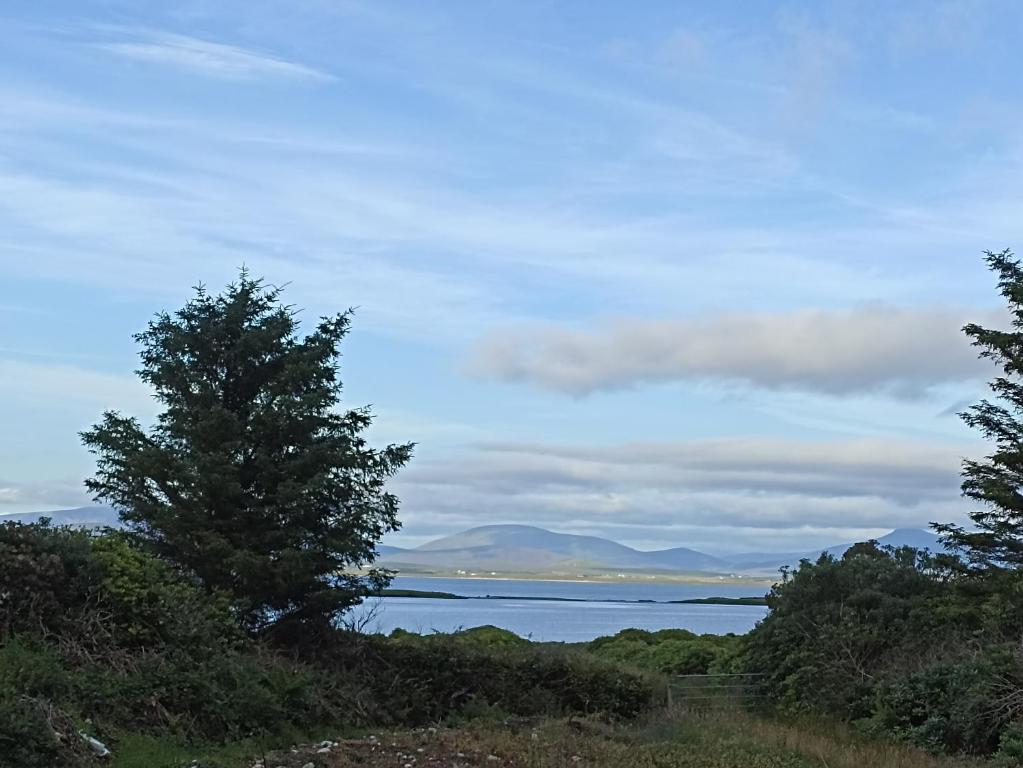 阿基尔Foreen Lodge, Achill Island的从树木茂密的山丘上欣赏湖景