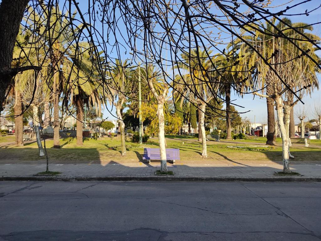 弗赖本托斯Suculento Apart的街上有长凳和树木的公园