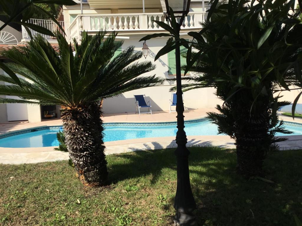 尼斯Villa Paradiso, logement avec piscine, Nice Nord的两棵棕榈树,在游泳池前