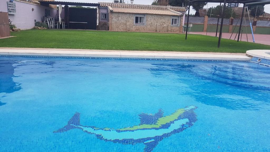 奇皮奥纳Casa Rústica vacacional FILIGRANA en Sanlúcar de Barrameda Zona Montijo的游泳池上画着鲨鱼