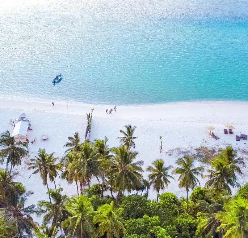 希曼杜岛Black Pearl Himandhoo的享有棕榈树海滩和大海的空中景致
