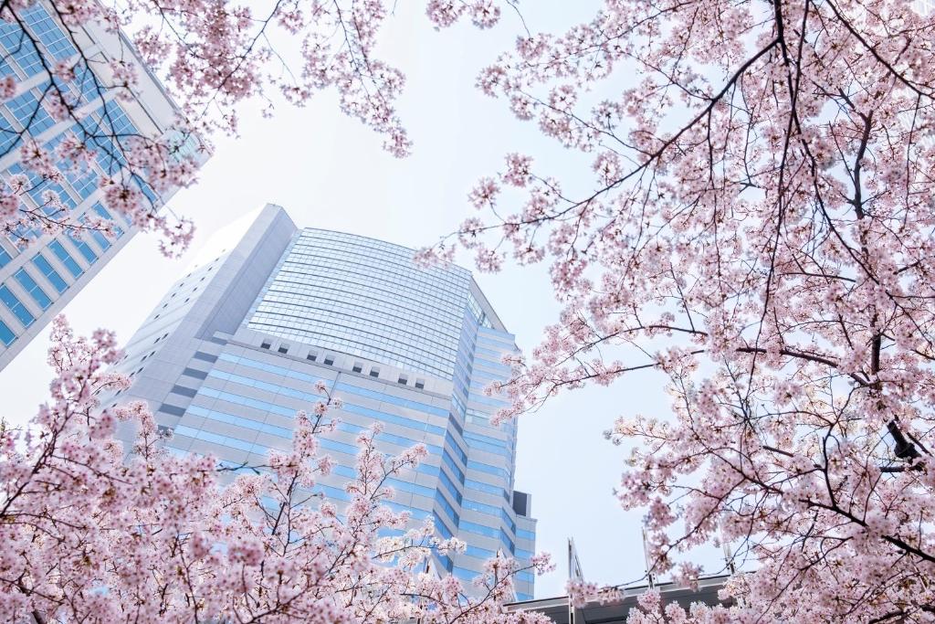 东京东京品川诗颖洲际酒店的一座高大的建筑,前面有粉红的樱花树