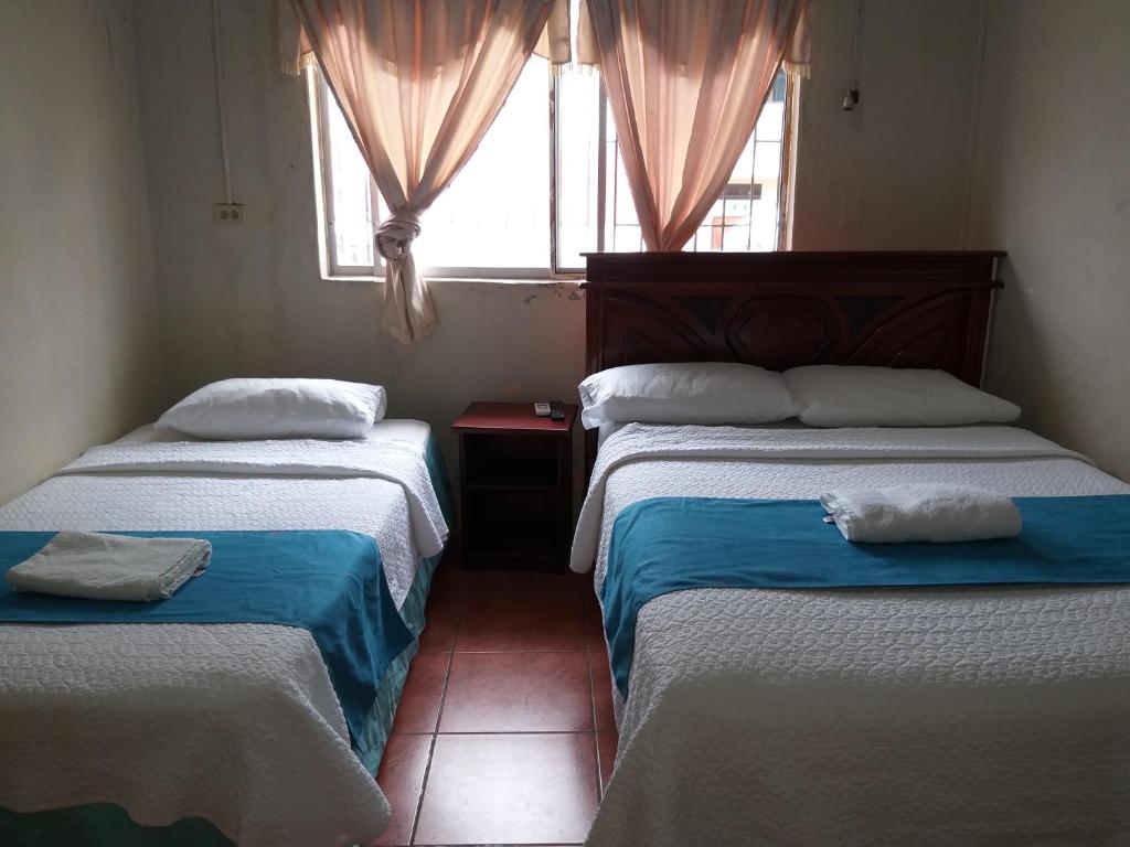 阿约拉港Hostal Miconia的带窗户的客房内的两张床