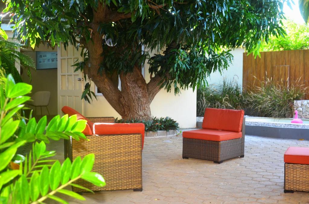 威廉斯塔德Homey Vacation的庭院里一群椅子和一棵树