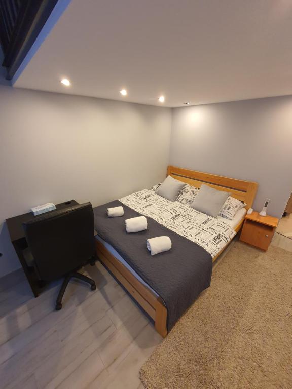 德布勒森Belvárosi Exkluzív Loft的一间卧室配有一张大床和电视