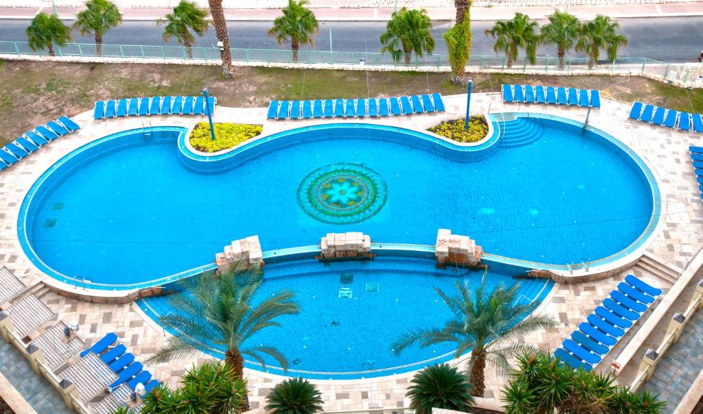 恩波其克死海莱昂纳多广场酒店的享有带椅子和棕榈树的大型游泳池的顶部景致