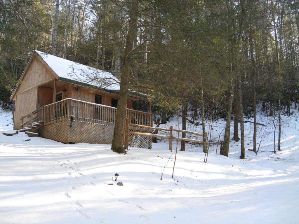 Valle CrucisValle Crucis Farm的雪中树林里的小木屋