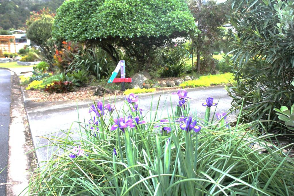 旺阿雷U Beauty - B & B的街道边种着紫色花的花园