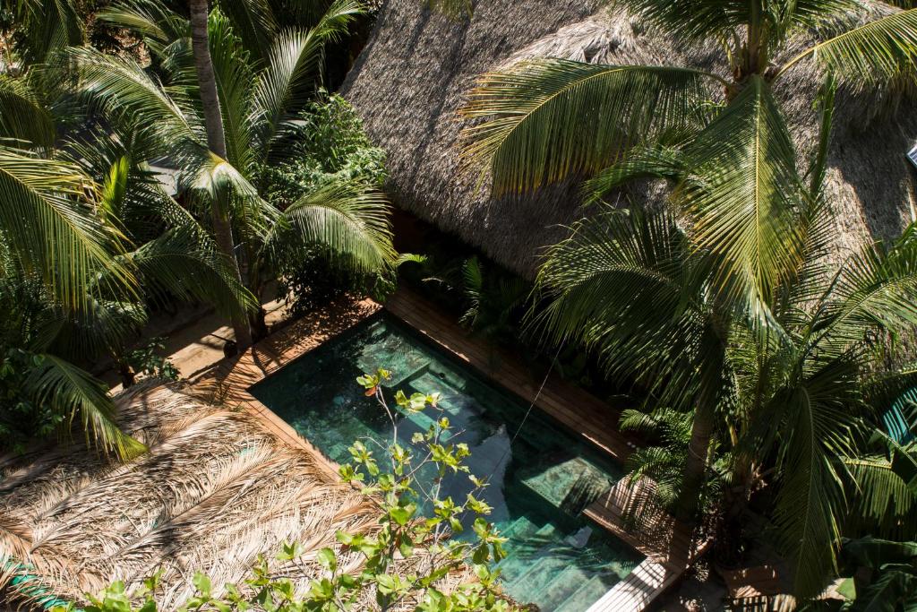 埃斯孔迪多港夫鲁塔斯沃尔杜拉斯旅舍的享有棕榈树游泳池的顶部景致