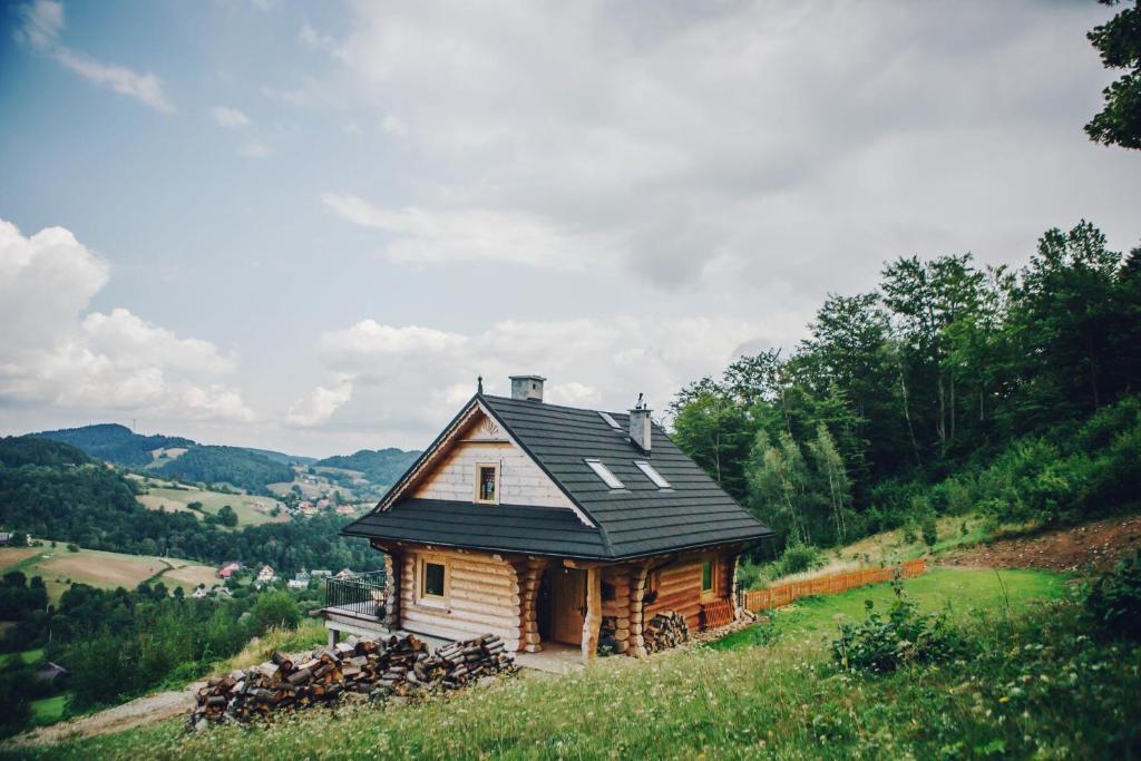 LaskowaFelusiowa Chata的田野上小山上的小房子
