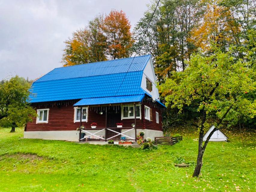 Verkhne-StudënyySadyba na Luzi的蓝色屋顶的红色和白色房子