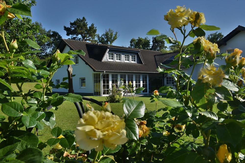 弗兰肯贝格Pension Ederstrand的前面有黄色玫瑰的房子