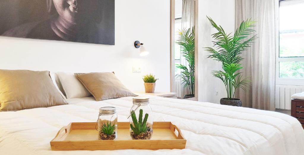 毕尔巴鄂Mood Bilbao Apartamentos - New & Special的一张白色的床,上面有植物托盘