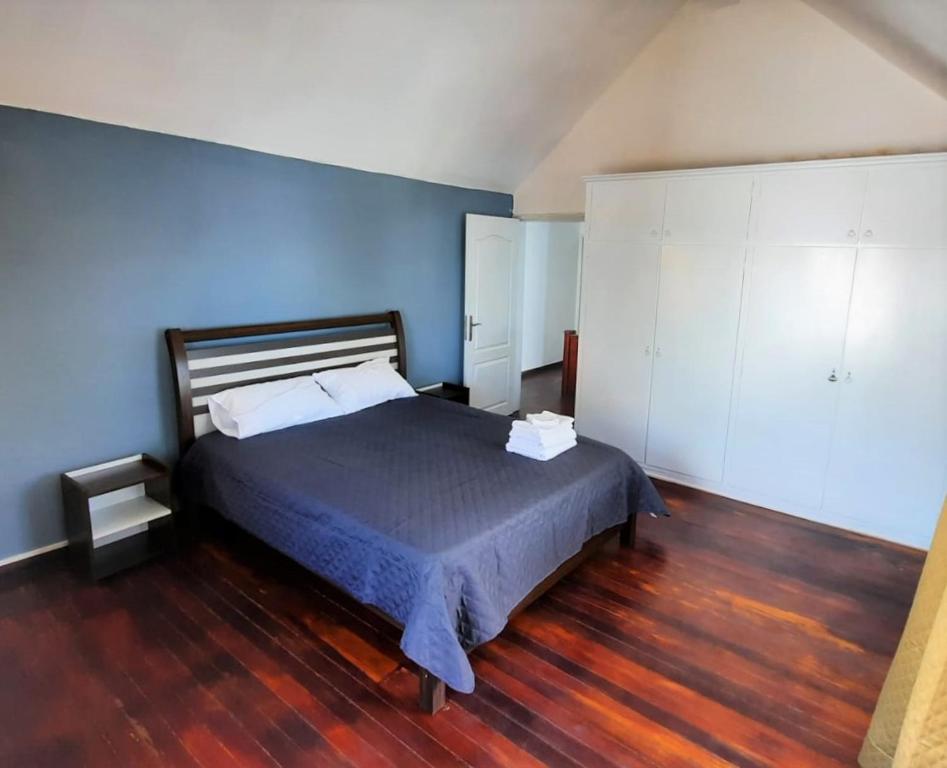佩雷贝勒Villa Rose的一间卧室配有一张蓝色墙壁和木地板。