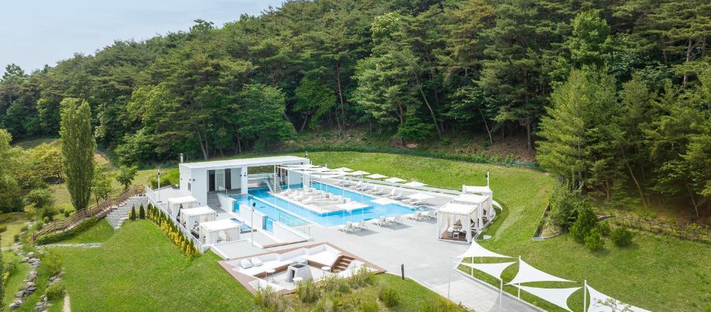 南原市南原套房酒店 的享有带游泳池的别墅的空中景致