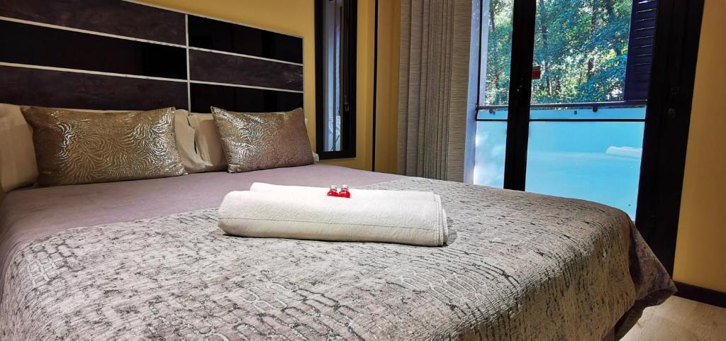阿雷纳斯德圣佩德罗APARTAMENTO ALES的一张带白色毛巾的床铺,配有窗户