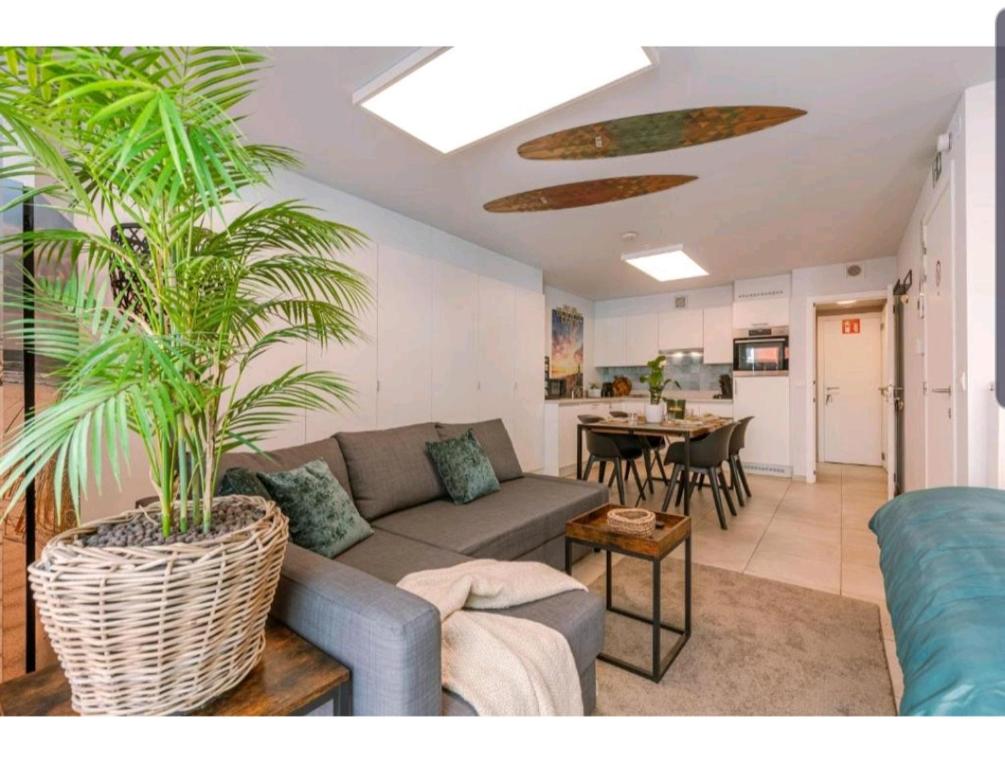 布兰肯贝赫CITY PREMIUM Studio Suite的客厅配有沙发和棕榈树