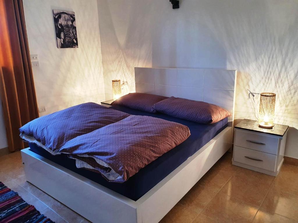 卢克索CASA LOKO Guest House的一间卧室,配有一张床和床头灯