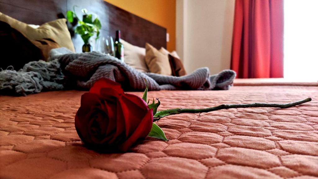 阿瓜斯卡连特斯Posada Del Carmen Aguascalientes的床上的红玫瑰,有人躺下
