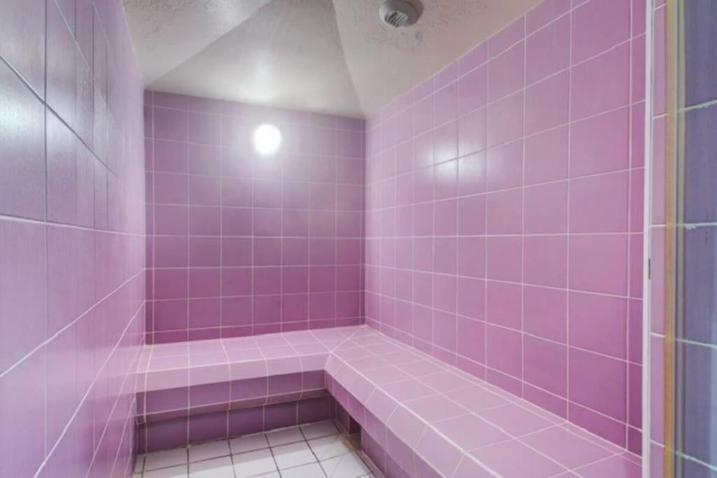 莱代塞尔Studio aux pieds des pistes, des chemins de Rando的紫色瓷砖浴室,配有紫色淋浴