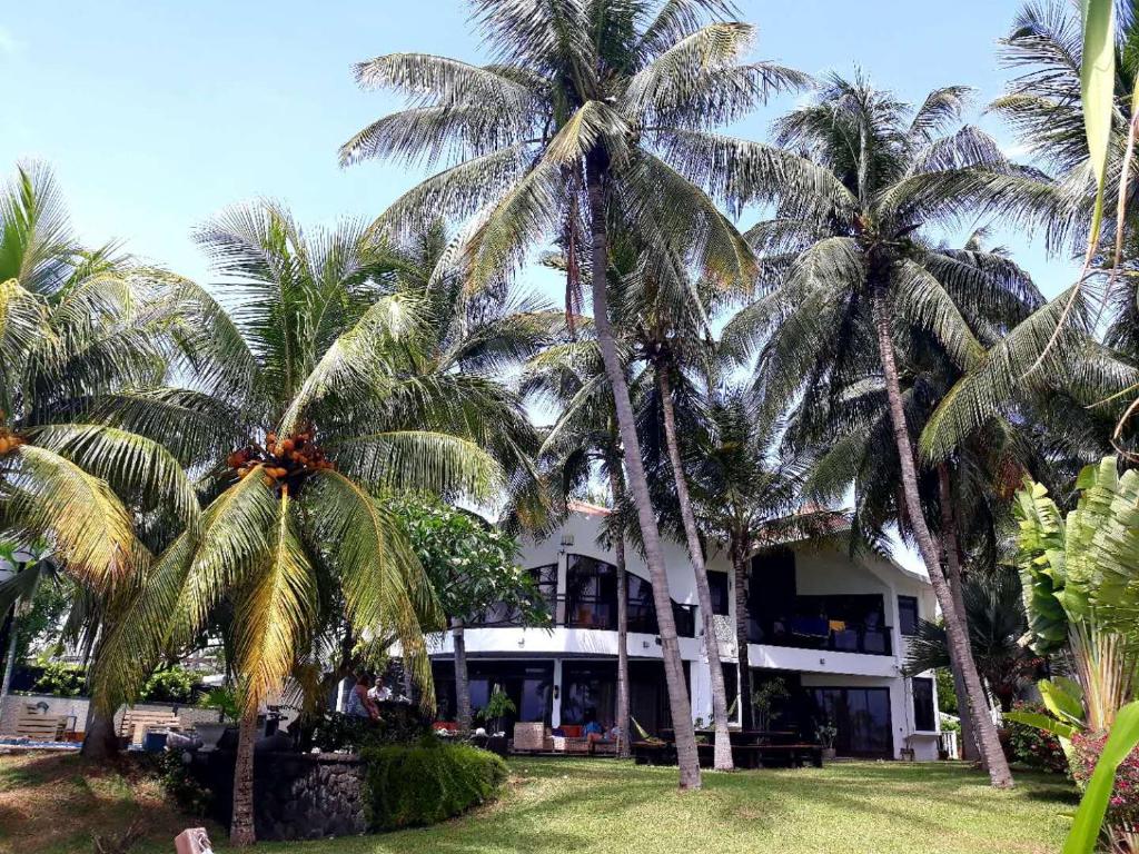 阿尔比恩La Maison de la plage的一座棕榈树建筑