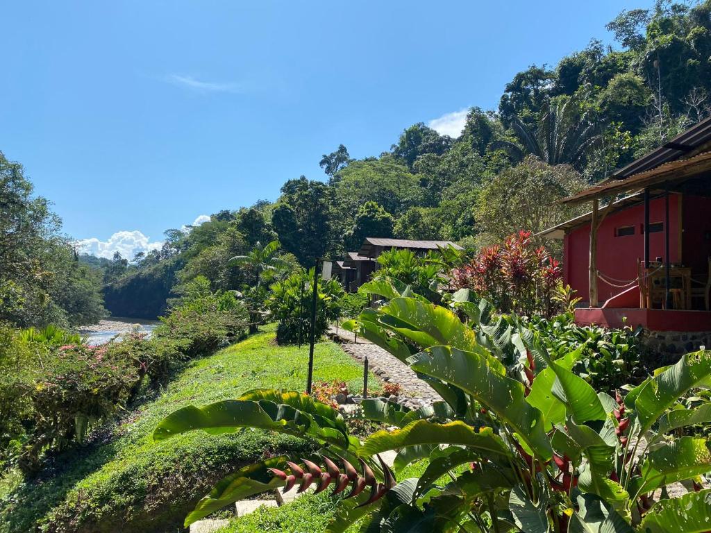 ArchidonaPlaya Selva Lodge的一座红楼前的花园