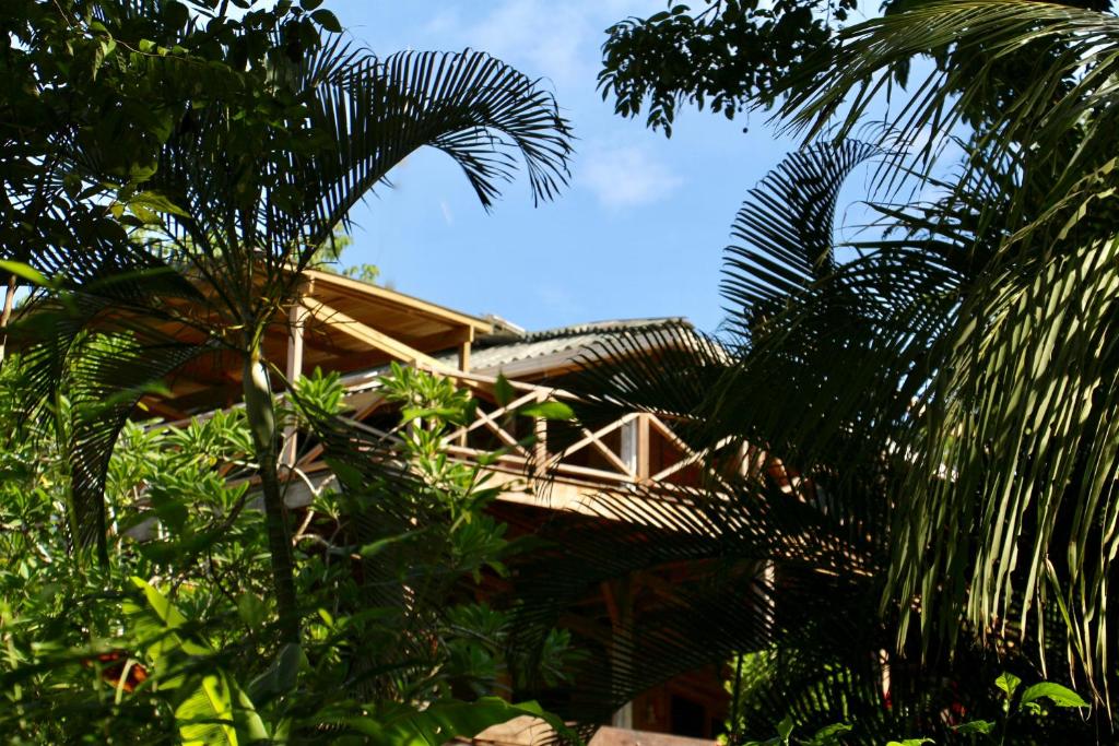 博卡斯德尔托罗Eden Jungle Lodge的树中间有桥的房子