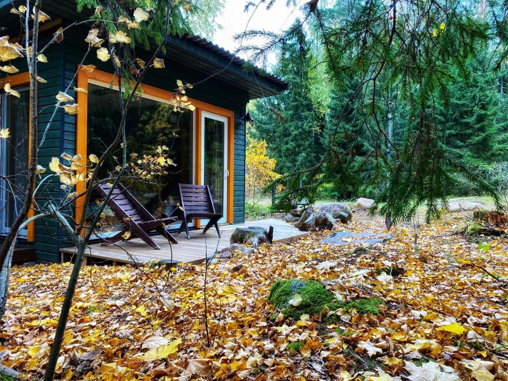 LoksaEnnu’s hut的一座房子,上面有一堆树叶