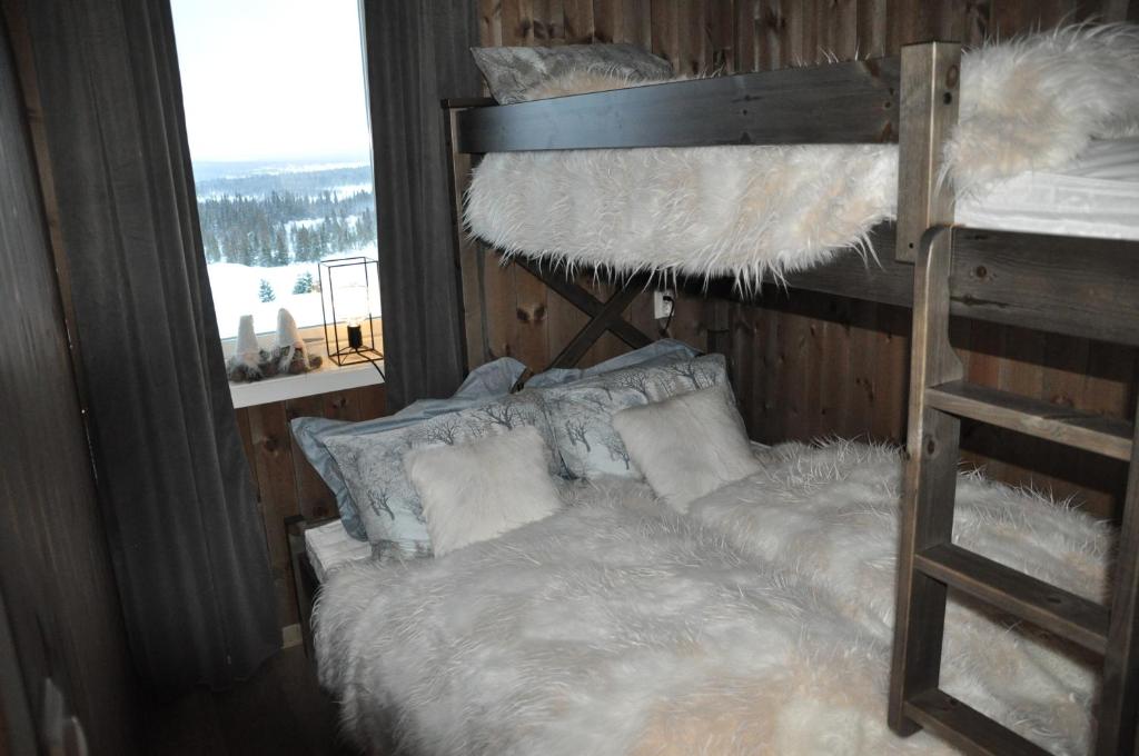 高尔Bualie Golsfjellet的一间卧室配有一张双层床和梯子