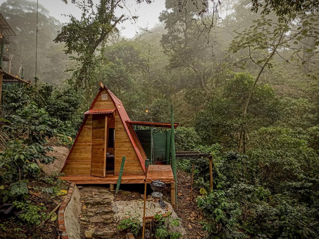 米卡ECO Cabin - TANOA Minca的森林中间的小小屋