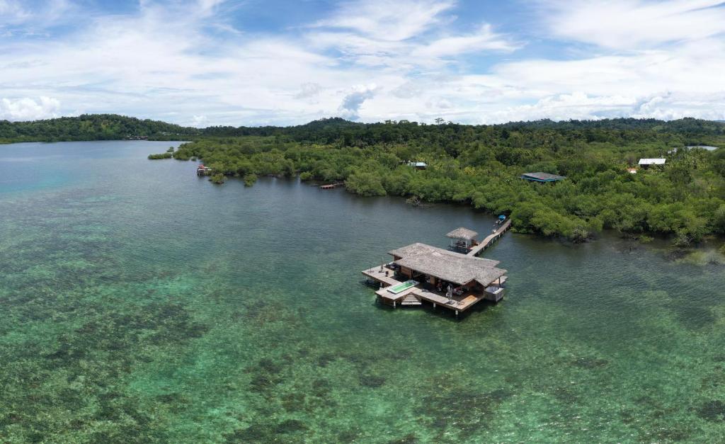 BotabiteEco-Lodge Bocas Coral Reef - Over water villa & birds house的水中有一个房子的岛屿