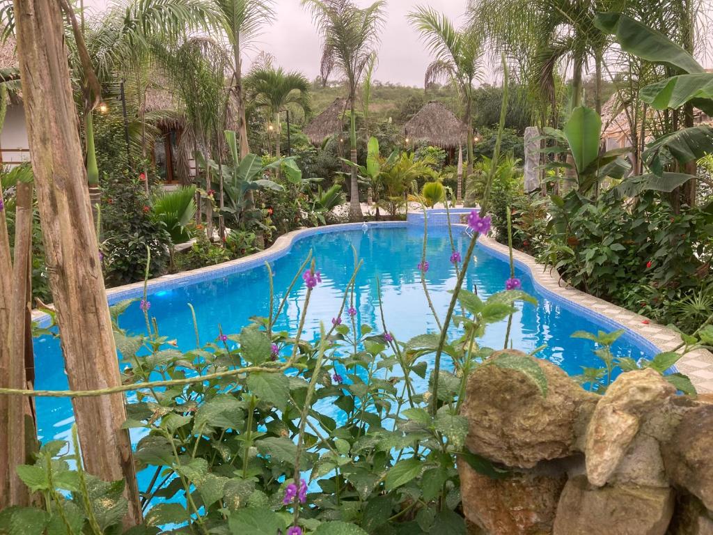 洛佩斯港Hotel La Costa International的花园内的游泳池