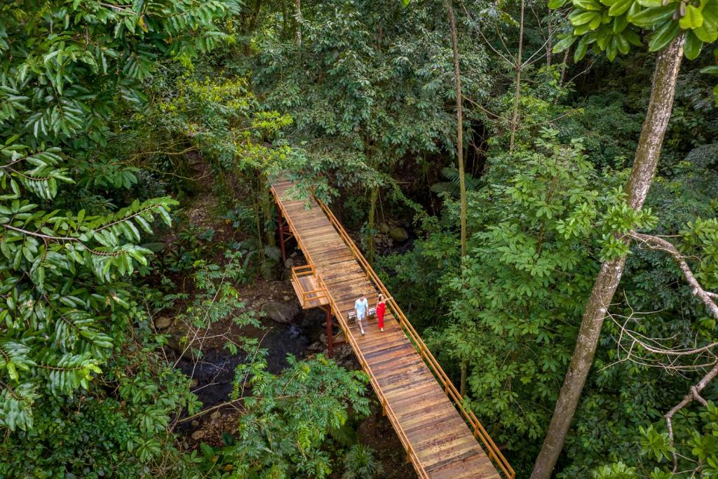 福尔图纳Chachagua Rainforest Hotel &amp; Hot Springs的丛林木桥的空中景色
