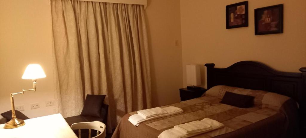 拉里奥哈HOSPEDAJE DEL PASEO的一间卧室配有一张床和一张带台灯的书桌