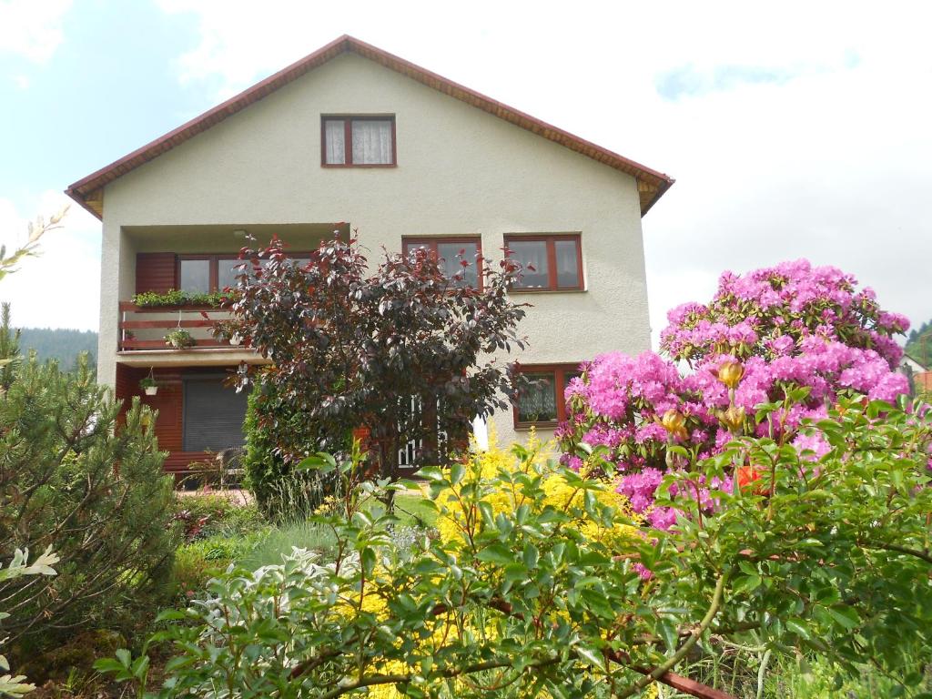 奥什恰德尼察玛克姆民宿的前面有粉红色花的房子