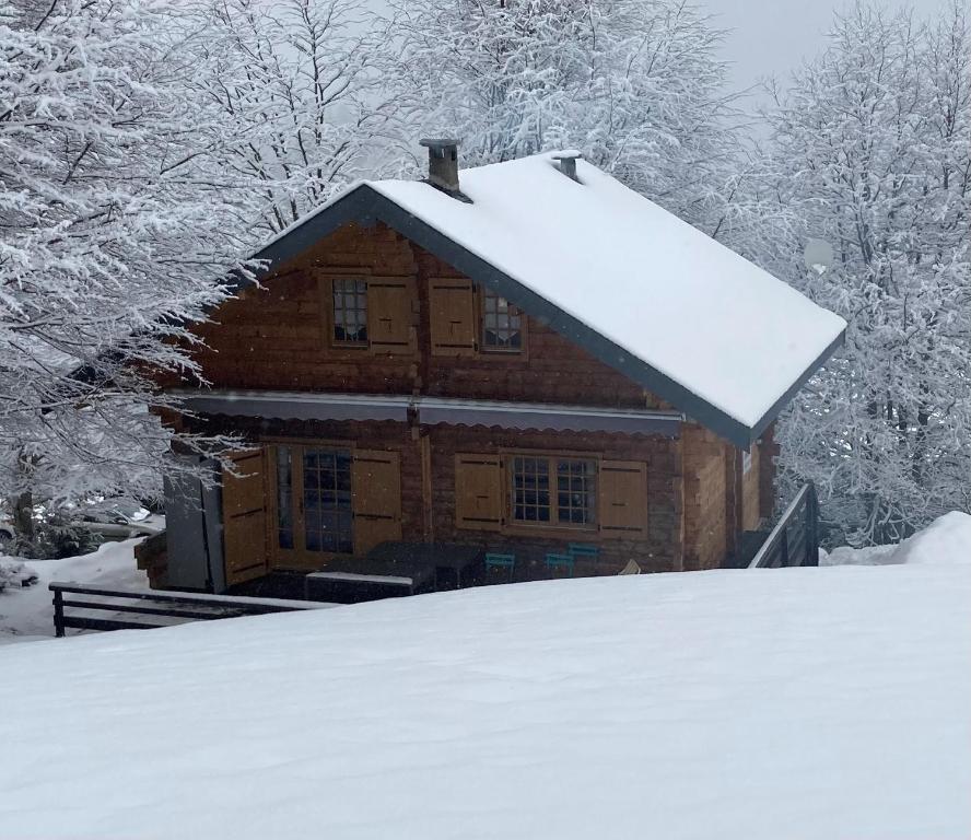 BoutxCHALET 6 PERSONNES SUR PISTE的小木屋,屋顶上积雪
