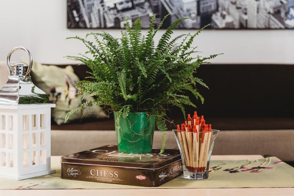 塔林学术旅舍的桌子上摆着植物的花瓶