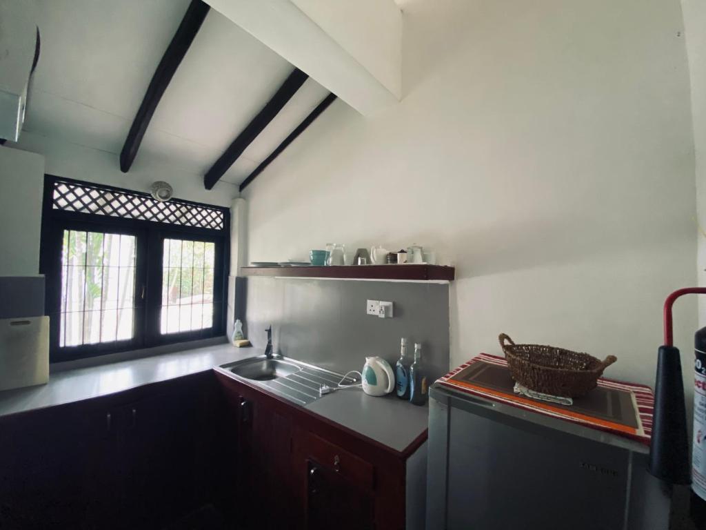 拉维尼亚山Cottage Garden Bungalows的厨房配有水槽和带窗户的台面