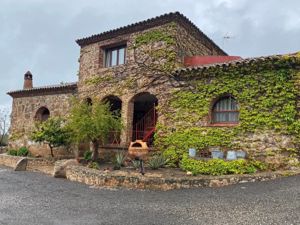 AlmendralCasas Rurales Monasterio de Rocamador的一座石头房子,旁边是常春藤