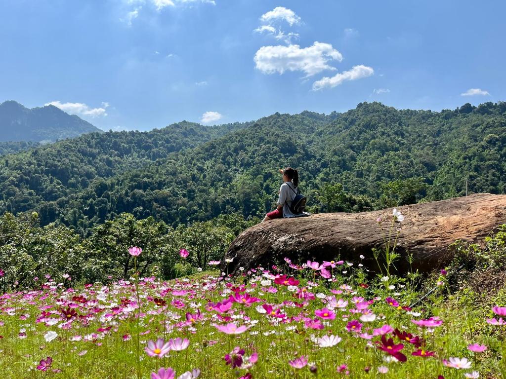 木州县Mường sang farmstay的坐在鲜花盛开的原木上的人