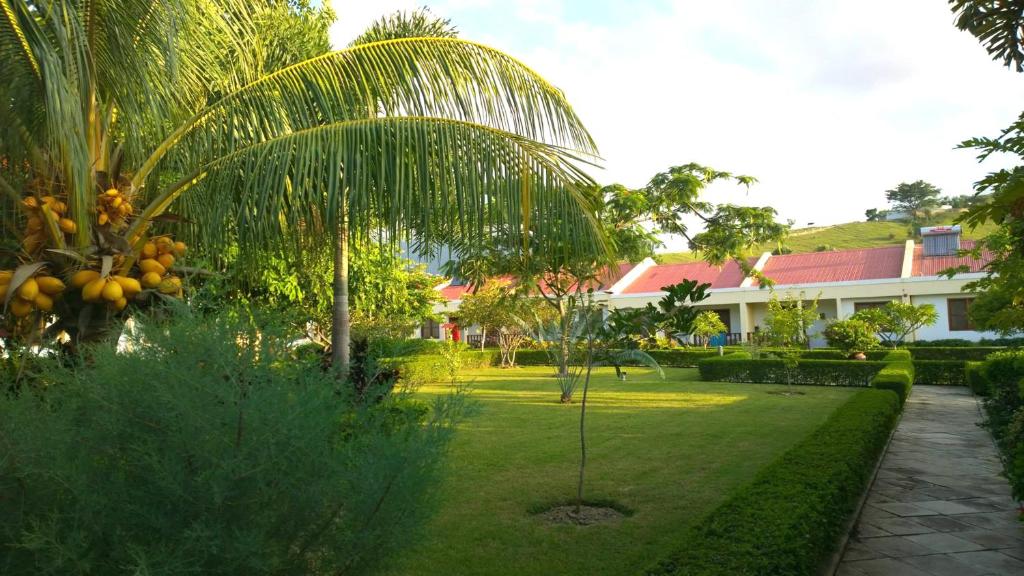 帝力马里纳默克天堂度假村的院子中间的棕榈树