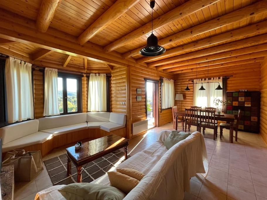 Chalet Klimatia - Όμορφη ξύλινη μεζονέτα με τζάκι的客厅配有沙发和桌子