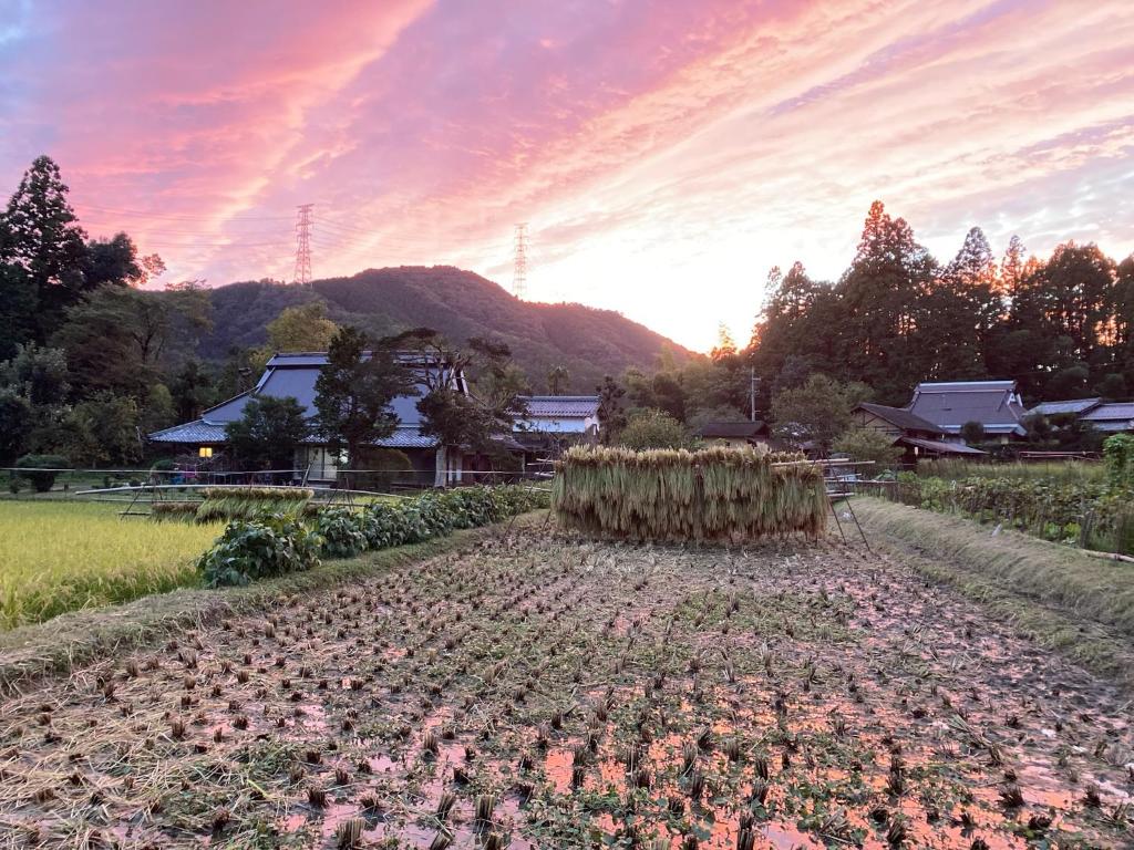Ayabe一汁一菜の宿　ちゃぶダイニング Ichiju Issai no Yado Chabu Dining Unforgettable Farmstay experience in Deep Kyoto的田野里充满植物的田野