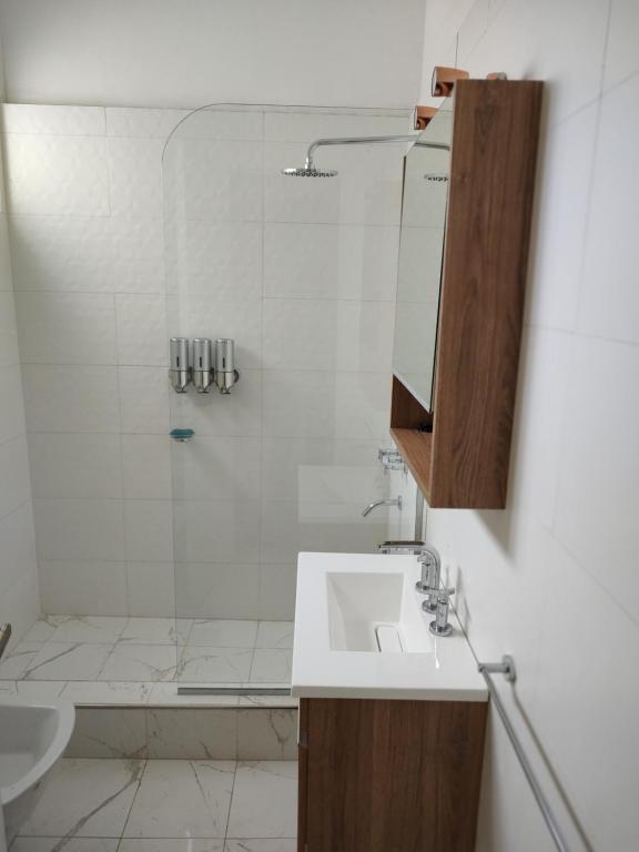 布宜诺斯艾利斯Caminito Apart的一间带水槽和淋浴的浴室