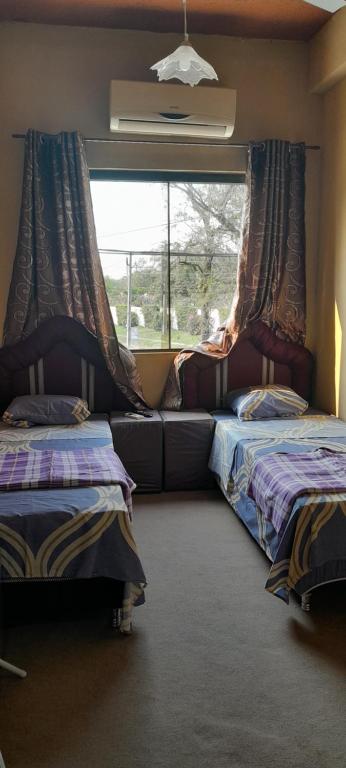 LuqueHospedaje San Miguel的一间卧室设有两张单人床和一个窗户。