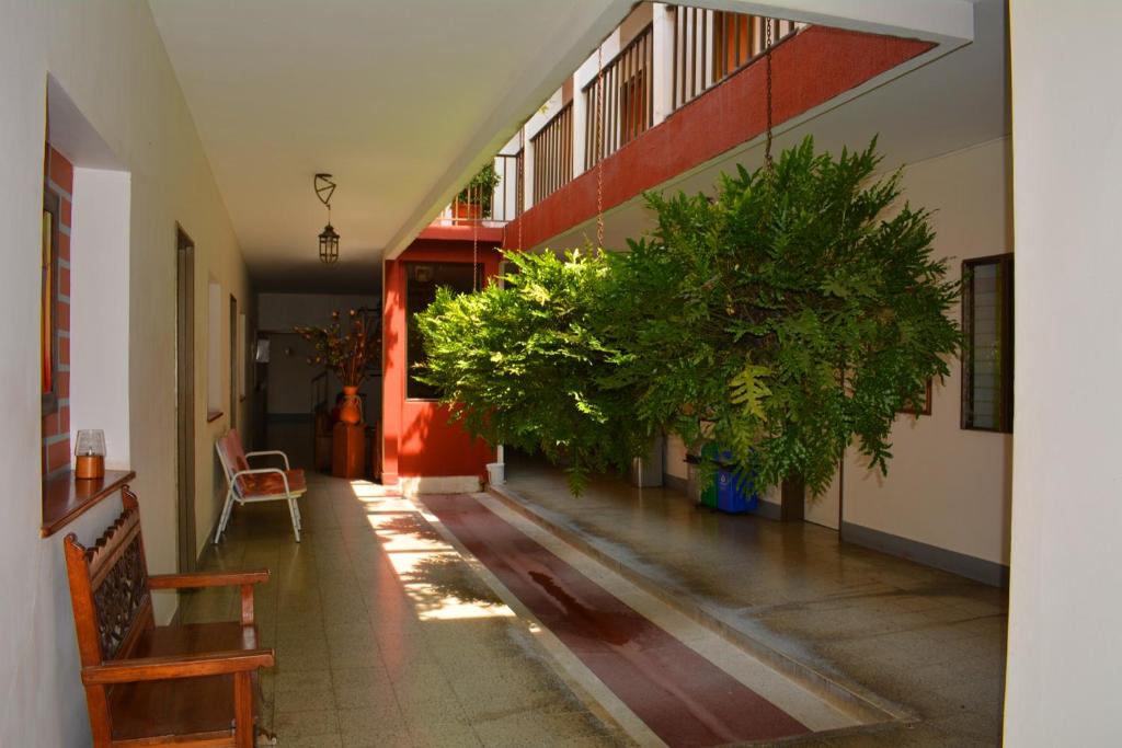 Puerto BerríoHotel Tayrona的楼内带有盆栽的走廊